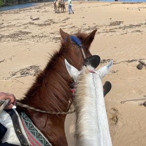 Meet your Posher, Fall